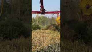 Actually raking goldentrackfarms farmwork balinghay haymaking farm hayharvesting drone [upl. by Waligore420]