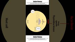 Acyclovir Mechanism of Action  Antiherpes Virus Drugs solutionpharmacy [upl. by Salvay]