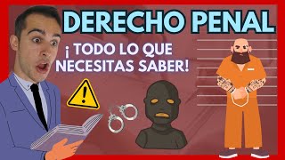 💥 DERECHO PENAL ¿Qué es【Todo EXPLICADO en Materia Penal】 [upl. by Neira]