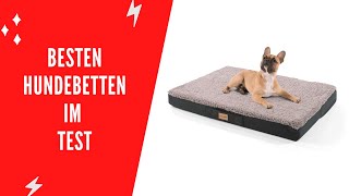 ✅ Die Besten Hundebetten im Test  Top 5 [upl. by Haidabej]