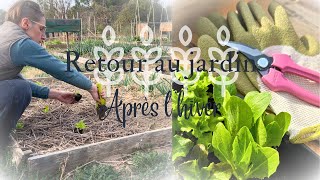 Le jardin nous appelle  Taille entretien et premières plantations pour une nouvelle saison [upl. by Mani]