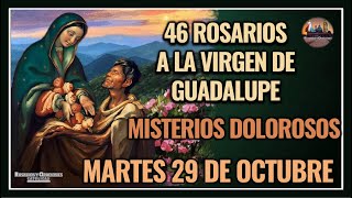 46 ROSARIOS A LA VIRGEN DE GUADALUPE MISTERIOS DOLOROSOS GUADALUPANO  MARTES 29 DE OCTUBRE 2024 [upl. by Etteluap68]