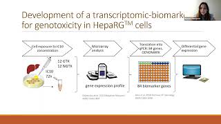 Advancing In Vitro Models for Genotoxicity and Carcinogenicity [upl. by Ahnavas]