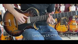 Rozeo Ladybug LACTM SFMTB DHB LAST GUITAR [upl. by Rosenfeld]