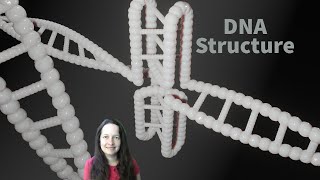 DNA Structure and Replication Video [upl. by Marigolda]