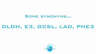 Dihydrolipoyl dehydrogenase mitochondrial recombinant protein [upl. by Enywad749]