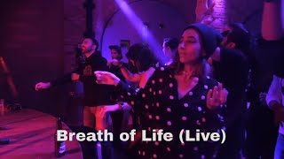 Breath of Life Live  Sina Bathaie [upl. by Ahsyek]