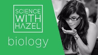 Specialised Cells  GCSE Biology Revision  SCIENCE WITH HAZEL [upl. by Madson186]