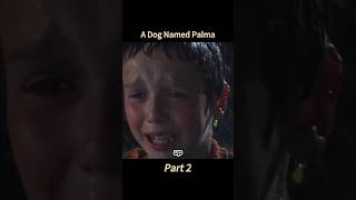 A Dog Named Palma part2 movie film touch [upl. by Urquhart]