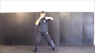 Krav Maga Fitness  Bas Rutten Boxing Workout Shadow Training with Movement [upl. by Oiluig446]