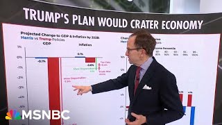 Steve Rattner Trump’s mass deportation and trade war plans will tank the economy [upl. by Airuam366]