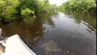 Bowfishing for Gator Gar [upl. by Nytsirhc]