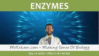 Enzymes  Structure and Function  Post 16 Biology A Level PreU IB AP Bio [upl. by Anidal831]