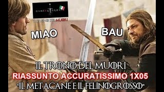 RECENSIONE GAME OF THRONES 1x05 RIASSUNTO ACCURATISSIMO quotIL METACANE E IL FELINOGROSSOH [upl. by Ganny]