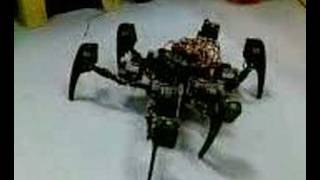 Hexapod Phoenix is drunk low on battery [upl. by Ecirtahs939]