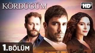 Kördüğüm Dizisi  Kördüğüm 1 Bölüm İzle [upl. by Ymme392]