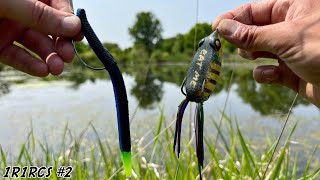 FISHING EXPERIMENT Senko vs the FrogBest EARLY SUMMER Pond Bass Fishing Lure [upl. by Yarled]