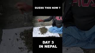 Weed In Nepal [upl. by Acino]