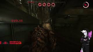 EVOLVE 2024  SANDSTONE BEHEMOTH GAMEPLAY 226 1080p [upl. by Refannej484]