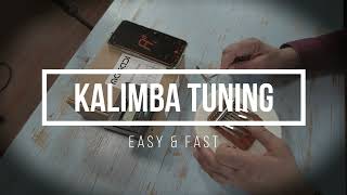 Kalimba Tuning [upl. by Rehpotsirk]