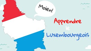 E14 De Plural Riets a Lénks amp Onreegelméisseg Verben  APPRENDRE LE LUXEMBOURGEOIS [upl. by Nonnerb]