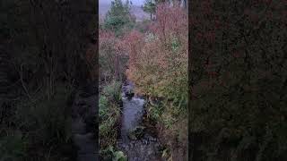 Tarbert Isle of Harris nature stream watersounds [upl. by Ardme]