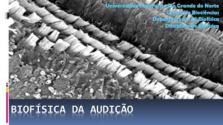 Biofísica da Audição [upl. by Halli]