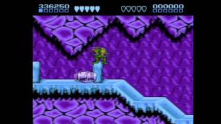 Nes  Battletoads Level 4  Arctic Caverns [upl. by Antons]