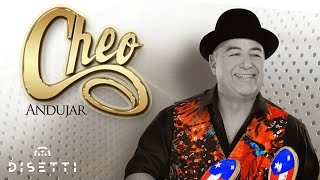 Cheo Andujar  40 Y 20 Audio Oficial  Salsa Romántica [upl. by Gabey]