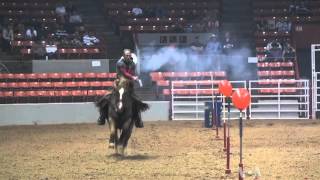 Cowboy Mounted Shooting Joins Houston Rodeo Competition [upl. by Miranda]