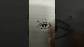 How to draw eyelashes diy [upl. by Ordnasil]