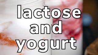 Is there LACTOSE in YOGURT [upl. by Auria]