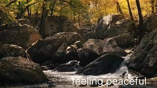 relaxing songmeditation musiclove enjoyable [upl. by Irakuy]