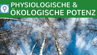 Physiologische und ökologische Potenz einfach erklärt  Wettbewerbs amp Verdrängungsprozesse Bäume [upl. by Aticnemrac839]