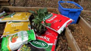 Planting Broccoli Manure Premium Topsoil amp Organic Fertilizer to Freshen Your Spring Raised Beds [upl. by Eelyahs]