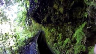 20140608 Levada da Ribeira da Janela [upl. by Rocca]