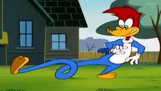 Woodys New Super Powers  1 Hour of Woody Woodpecker Full Episodes [upl. by Zola225]