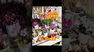 iPhone15pro以降対応写真 新機能 消しゴム機能やり方 iPhone 園芸 ガーデニング [upl. by Philbert535]