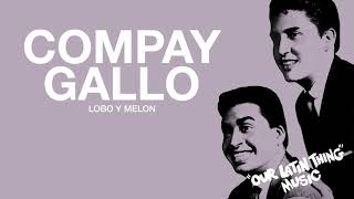 COMPAY GALLO  LOBO Y MELON [upl. by Horst]