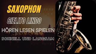 Cielito Lindo Altsaxophon Hören Lesen Spielen schnell und langsam [upl. by Carver301]