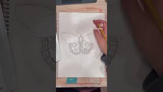 symmetry drawing demonstration for my students arteducation artistsoninstagram diy fyp [upl. by Adnovahs]