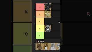 Ranking Every Bear in Bee Swarm Simulatorpt1 beeswarm bss beeswarmsimulator [upl. by Suelo]