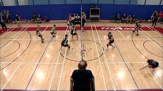 RSEQ D1 Volleyball Masculin 🏐 Sherbrooke  Limoilou 20221125 [upl. by Harriman]