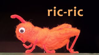 Titelles Pamipipa 🦗 RIC〰RIC 🦗 Cançó popular infantil versió pròpia [upl. by Ocana]