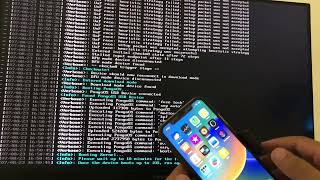 How to Palera1n Jailbreak windows for iOS 165 [upl. by Dwaine]