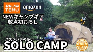 【ソロキャンプ】TEMUとAmazonで買った新ギア数点持って山深い秘境のキャンプ場へ・・・スズメバチ多くてちょっとビビった [upl. by Rehptsirhc]