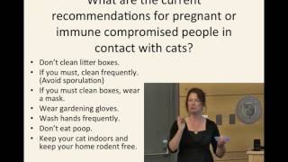 Toxoplasmosis Truth Fiction and Crazy Cat Ladies 11 Pregnant or immune compromised people [upl. by Nodlew]