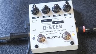 Joyo DSeed Dual Channel Delay Review And Sound Test [upl. by Galen]