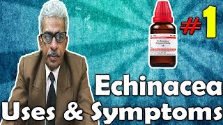 Echinacea Part 1  Uses and Symptoms in Homeopathy by Dr PS Tiwari [upl. by Lewap483]