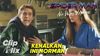 SpiderMan No Way Home 616  Kenalkan Ini Norman  Tom Holland Zendaya  ClipFlix [upl. by Seaman]